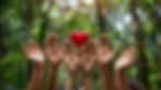 view-hands-holding-red-heart-represent-affection.jpg