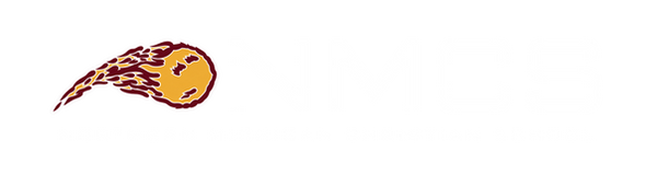 NEW SCHOOL LOGO-2 (11).png