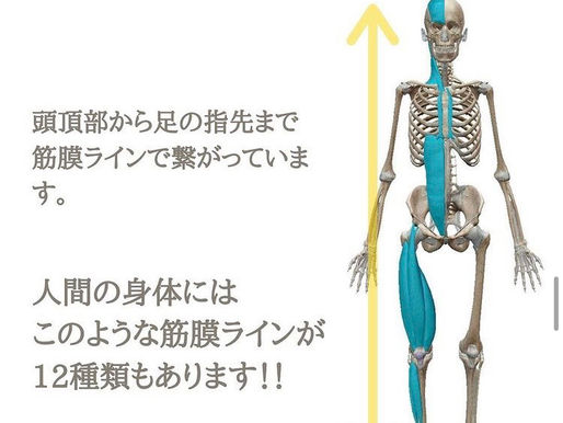 なぜ、全身のメンテナンスが必要なのか??