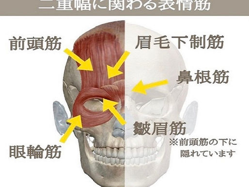 二重幅でお悩みの方いませんか??