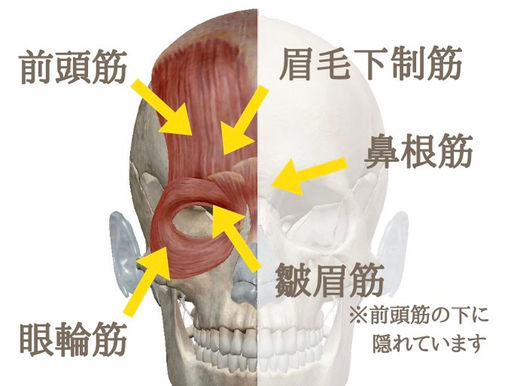 二重幅でお悩みの方いませんか??