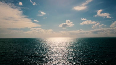 VIDEO 03.00_03_50_20.Immagine008.jpg