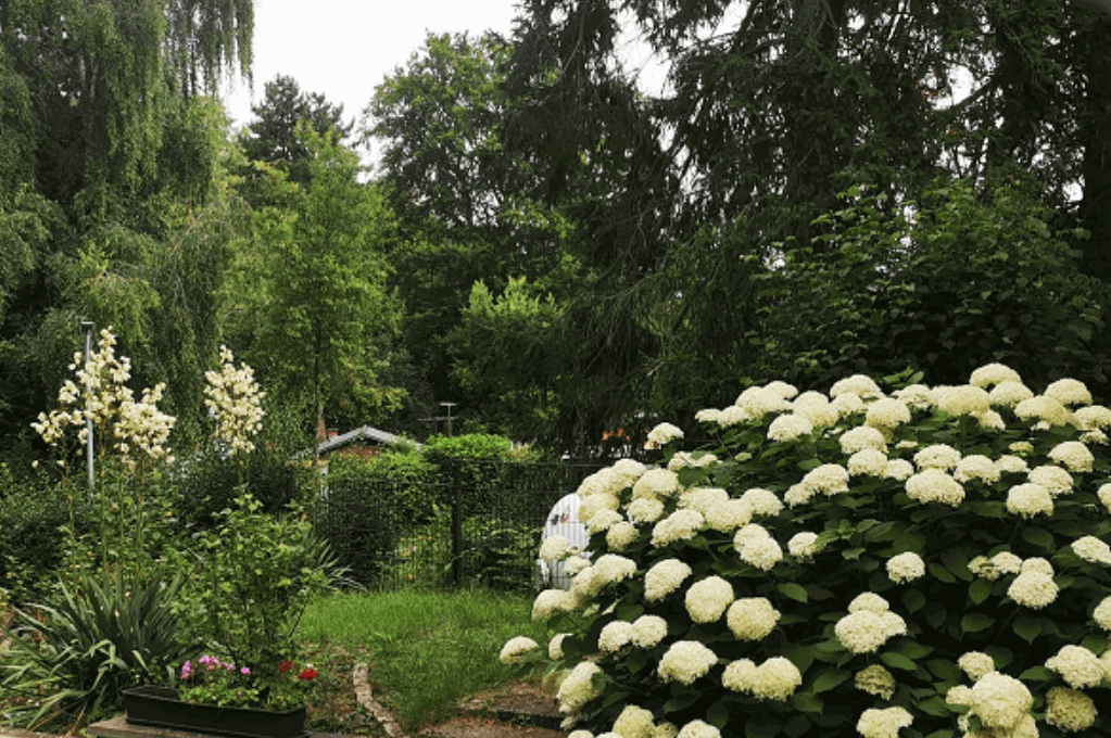 Menschsein