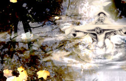 BAPTISM TO ASCENSION