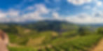 Panorama Durbach_NEU.jpg