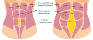 Five for Friday- 5 Things You Should Know About Diastasis Recti