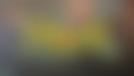 Lunch på Joan's i Vingåker