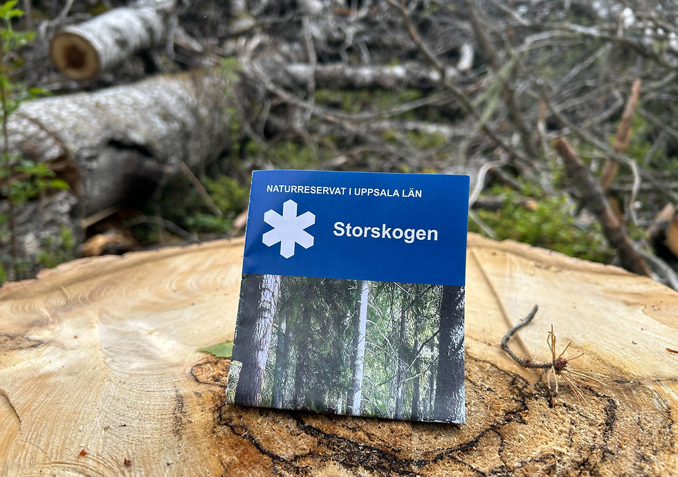 Fru ResGlad vandrar vildmarksleden i Storvreta utanför Uppsala