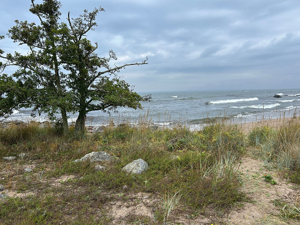 Fru ResGlad på september-vandring i Hornslandet utanför Hudiksvall i Hälsingland