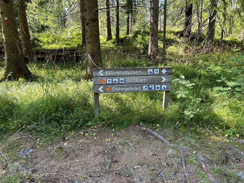 Fru ResGlad vid Baljåsen i Dalsland