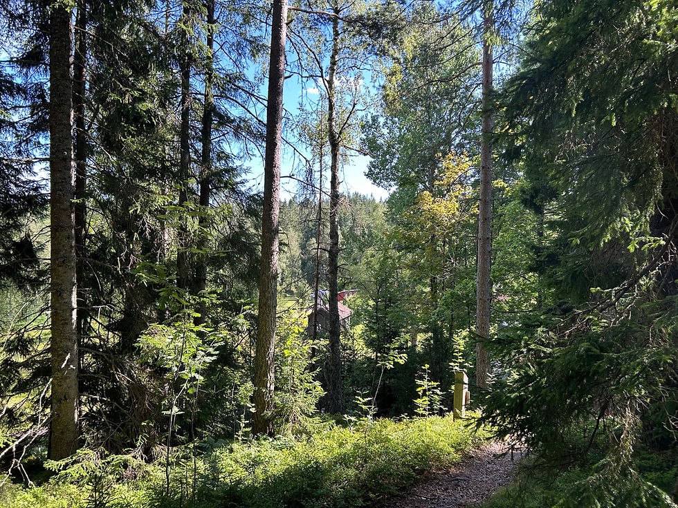 Fru ResGlad vid Baljåsen i Dalsland