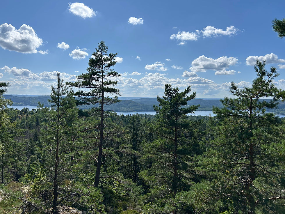 Fru ResGlad vid Baljåsen i Dalsland