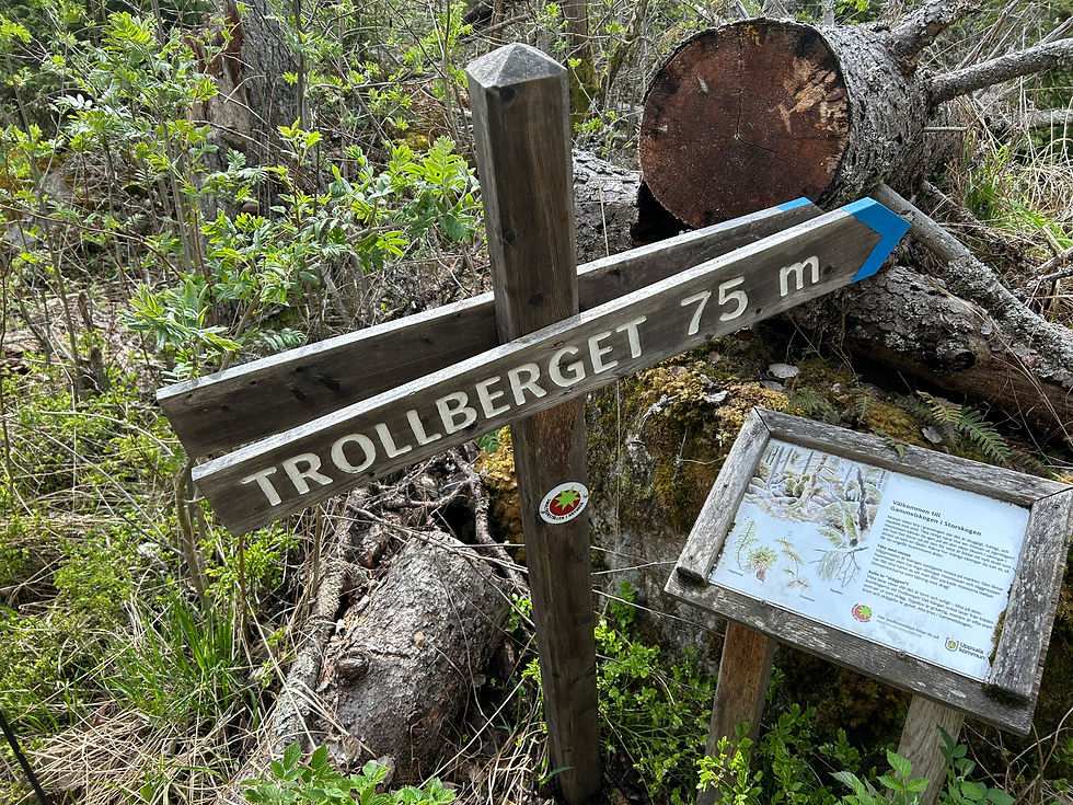 Fru ResGlad vandrar vildmarksleden i Storvreta utanför Uppsala