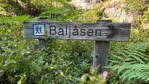Baljåsen - vandring genom vresig skog till Dalslands högsta punkt