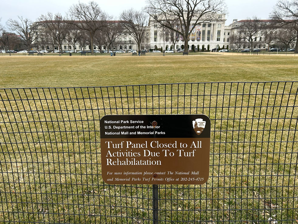 Fru ResGlad på ikonisk sigthseeing i Washington DC