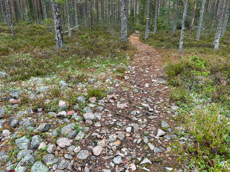 Fru ResGlad på september-vandring i Hornslandet utanför Hudiksvall i Hälsingland