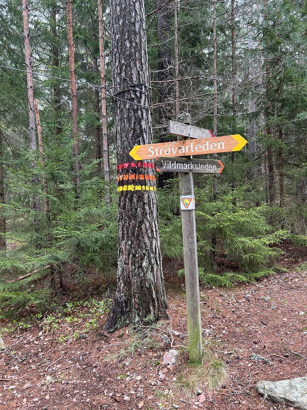 Fru ResGlad vandrar vildmarksleden i Storvreta utanför Uppsala