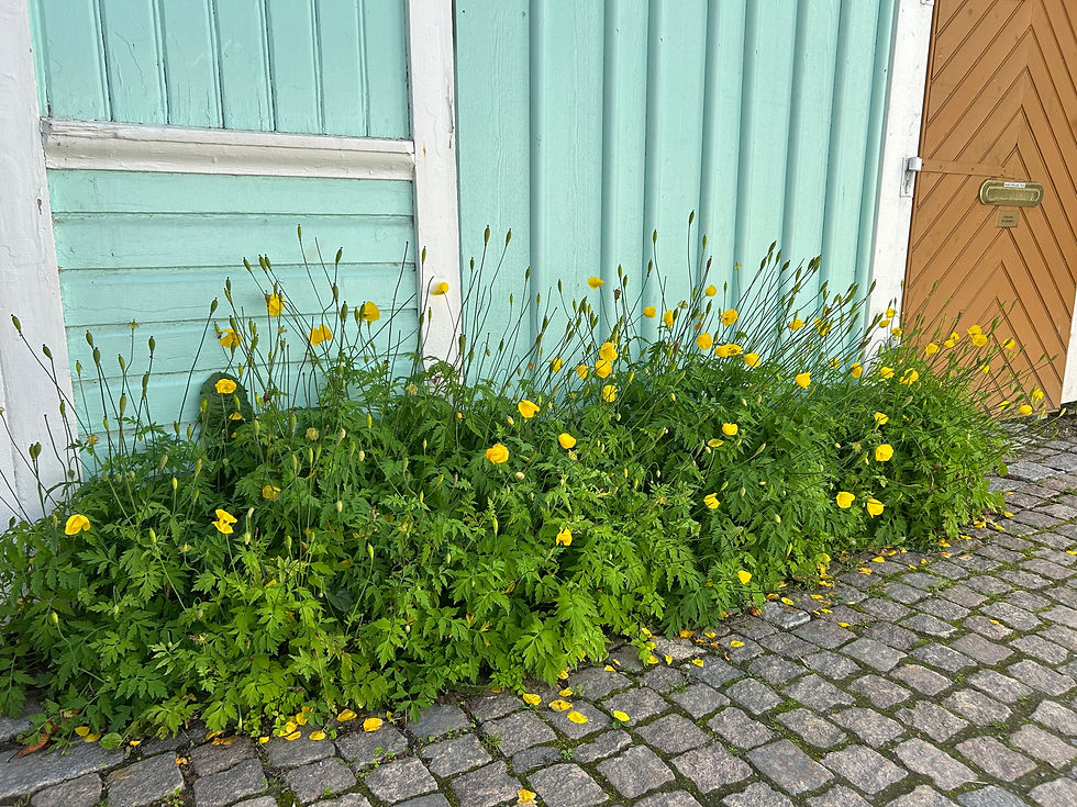 Fru ResGlad besöker Wadköping och Stadsparken i Örebro