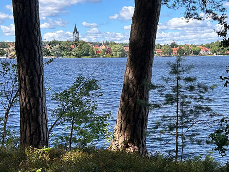 Promenad på Alntorps ö mitt i Norasjön