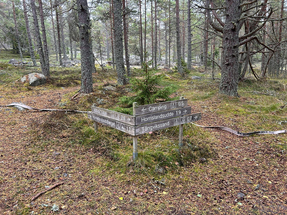 Fru ResGlad på september-vandring i Hornslandet utanför Hudiksvall i Hälsingland