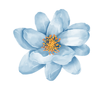 Client Pictures Landscape (9).png