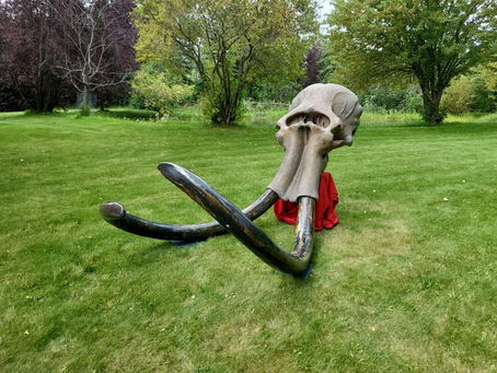 Exploring the Mystique of Fossil Mammoth Tusks: A Comprehensive Guide
