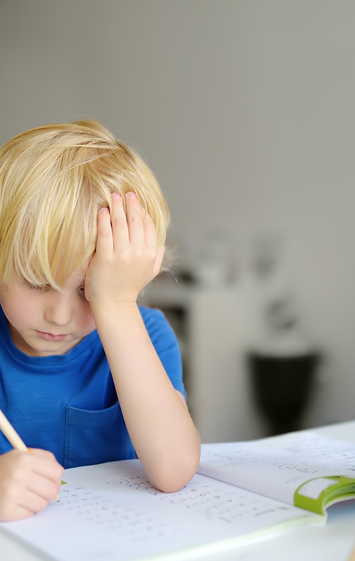 Client Pictures Landscape (7).png