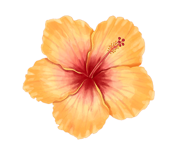 Client Pictures Landscape (10).png