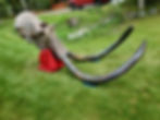mammoth tusks