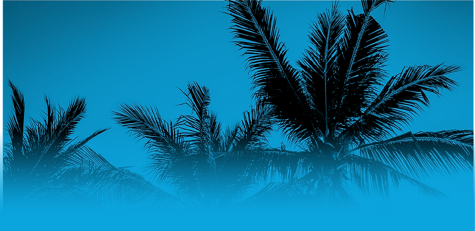 Blue Palm Tree.png