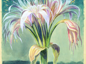 Botanical Sketchbooks
