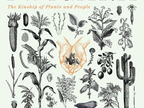 Exploring the Interconnectedness of Nature: A Review of Dr. Enrique Salmón's Book