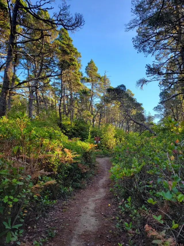 South Beach Coopers Trail.webp