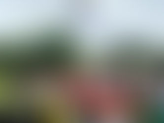 Pride 2025: the power of collaboration