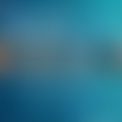 IPSA take to the national stage at The Security Event