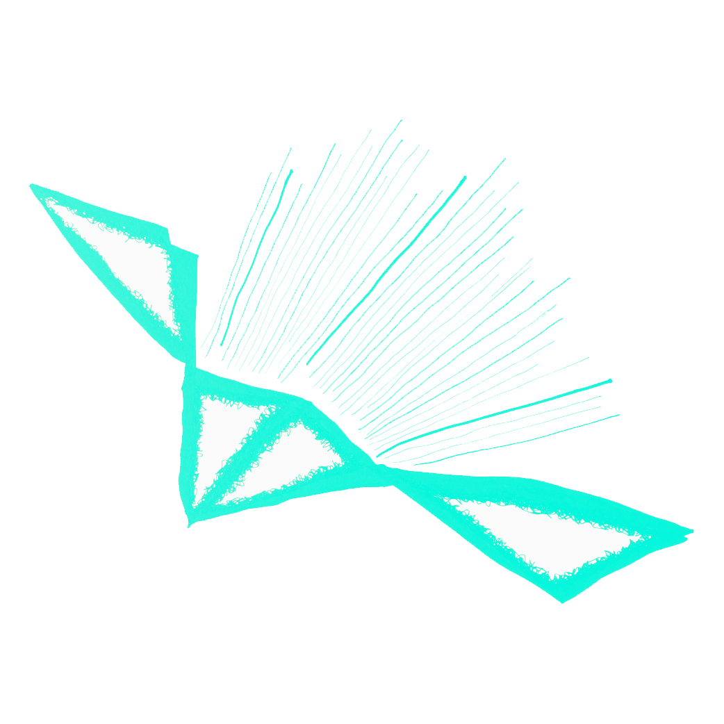 Animations