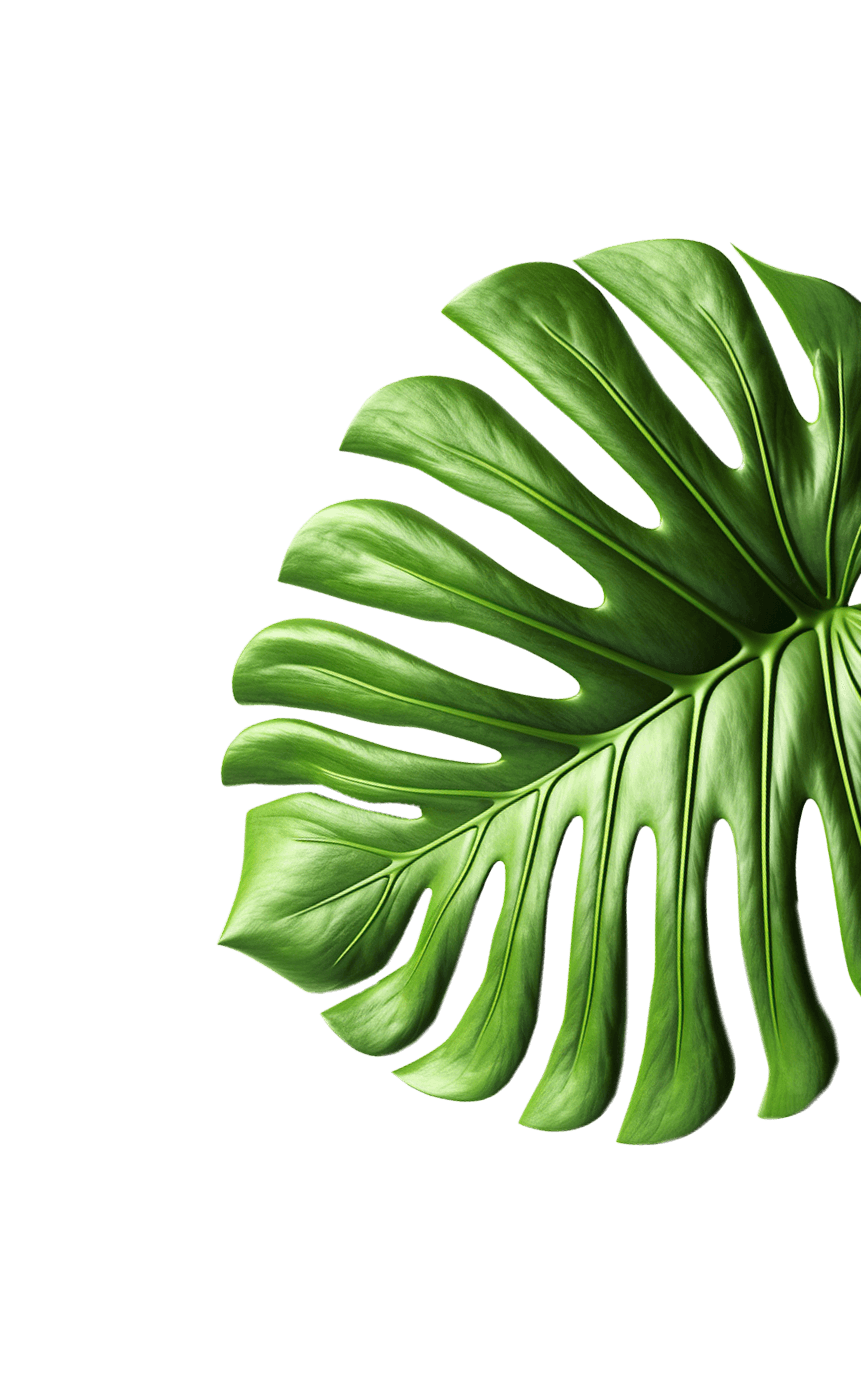 Jungle_Plant_2 1.png