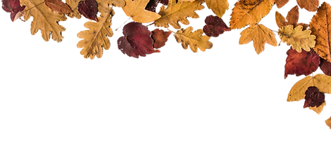 leaves_edited.png