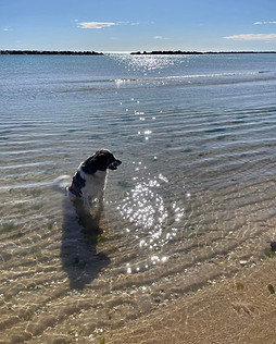Bagno al mare