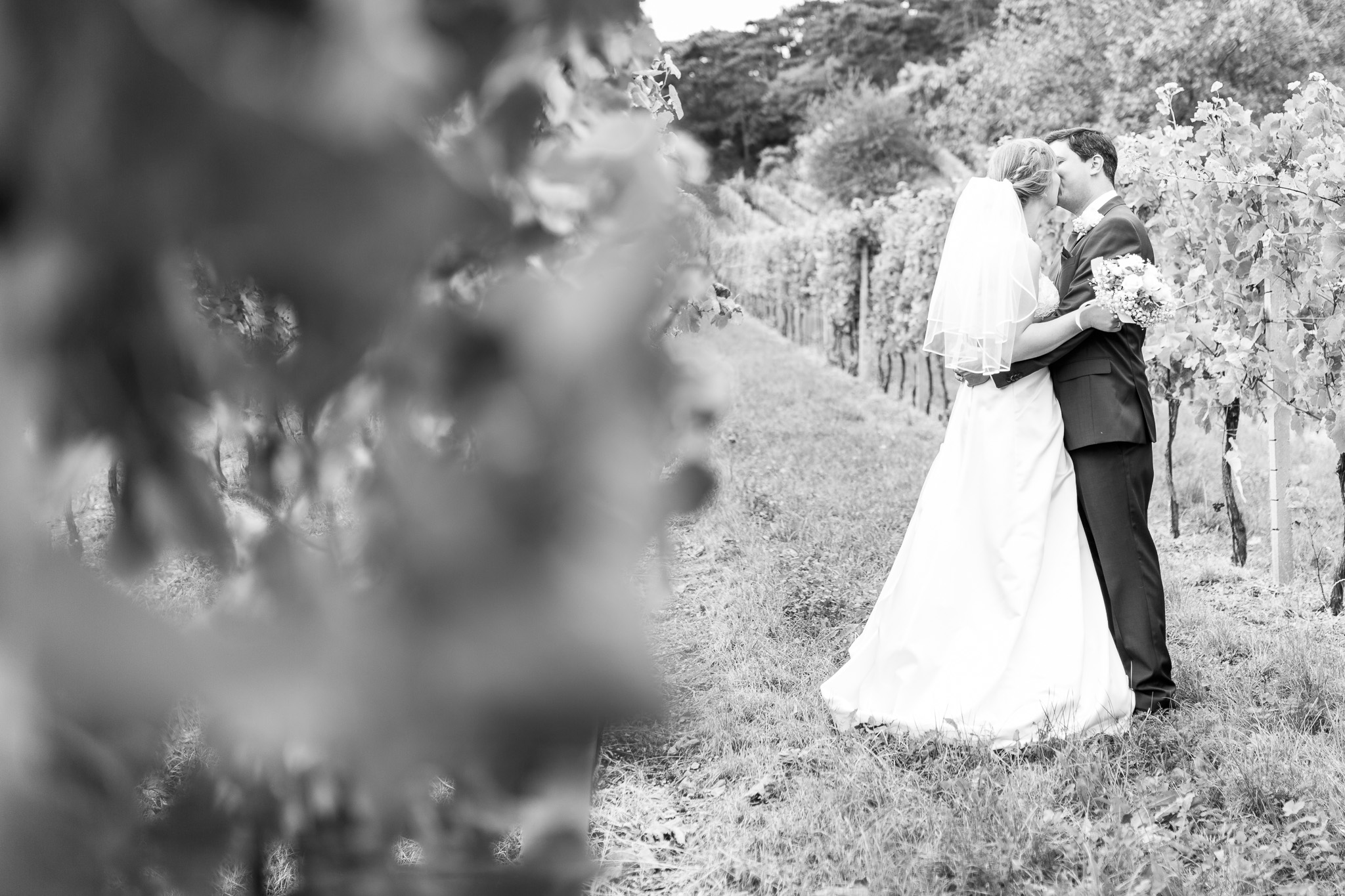 Hochzeit - Mödling - Gumpoldskirchen