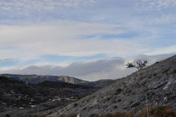 _DSC0004