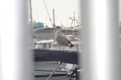 _DSC0063