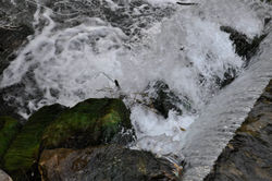 _DSC0014
