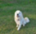 zoey summer 22_edited.jpg