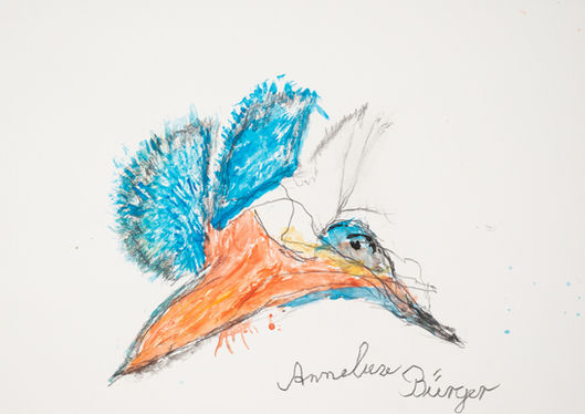 Anneliese Bürger_Eisvogel.jpg