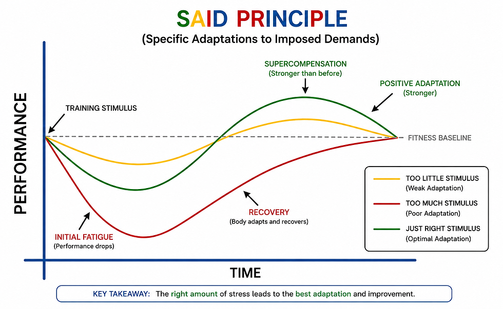 Graph illustrating the SAID principle with performance vs. time. Yellow, red, green lines show adaptation levels. Key takeaway: optimal stress.