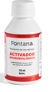 Bacterias