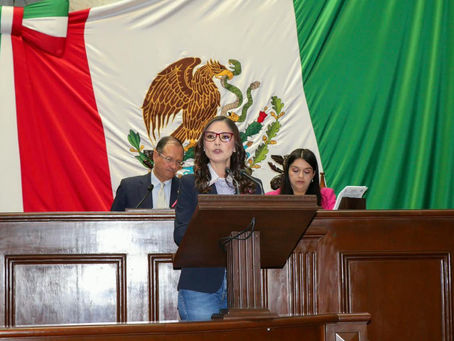 Nalleli Pedraza impulsa iniciativa para proteger los derechos laborales y educativos de madres solteras con discapacidad