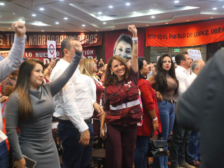 Desde Michoacán, todo el respaldo a la nueva Dirigencia Nacional de Morena: Nalleli Pedraza