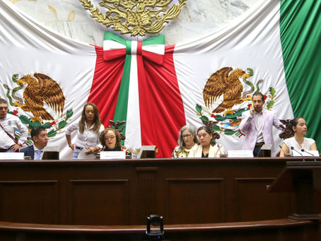 Concluye con éxito Primer Parlamento con Perspectiva de Discapacidad impulsado por Nalleli Pedraza